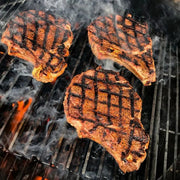 GrillGrate GrillGrate Sear Station for the Traeger Century 22 RGG18.5K-0003 Part Cooking Grate, Grid & Grill 035127647166