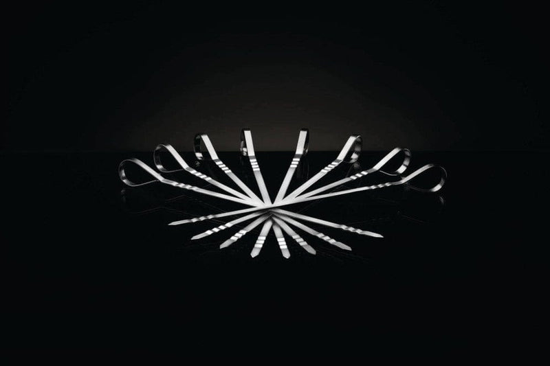 Napoleon Napoleon 70015 Eight Stainless Steel Multifunctional Skewers 70015 Accessory Skewer 629162700155