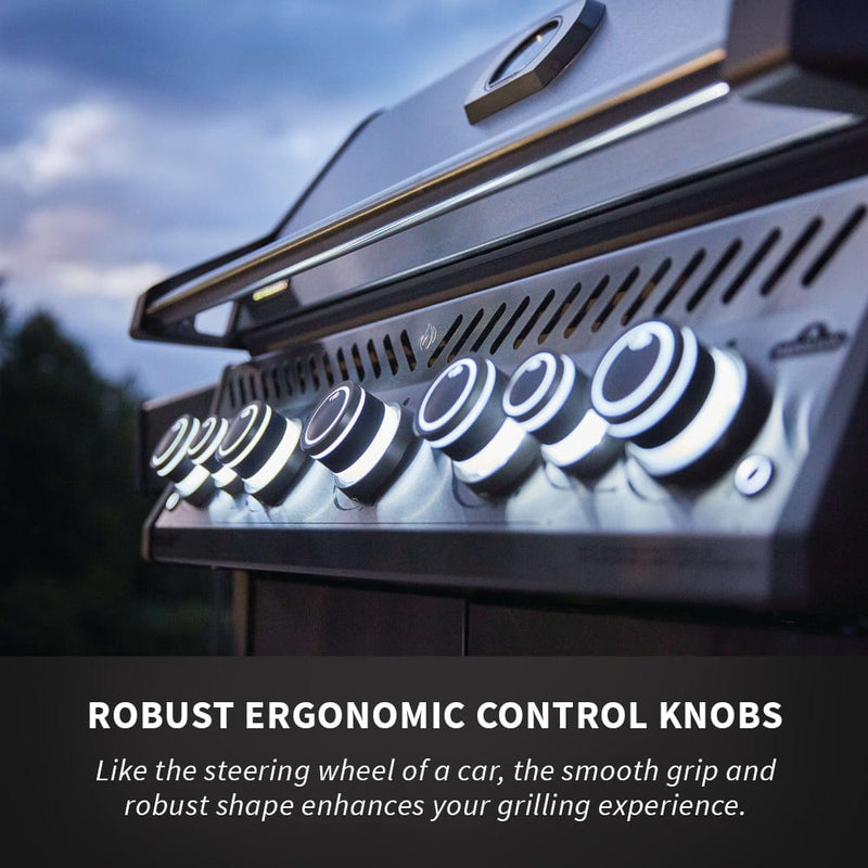 Napoleon Rogue SE 625 RSIB 5-Burner BBQ with Infrared Side & Rear Burners RSE625RSIB-1