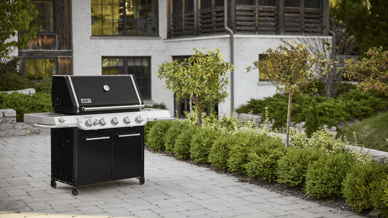 Weber Summit FS38 Gas Grill