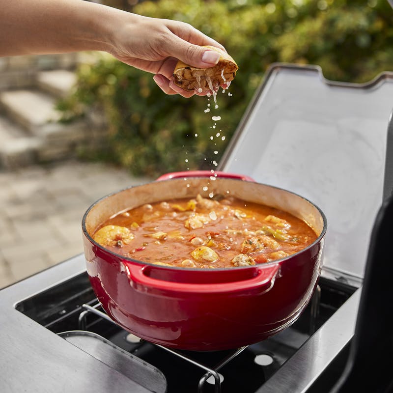 Weber Summit FS38 Gas Grill