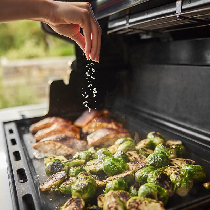 Weber Summit FS38 Gas Grill