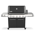 Weber Summit FS38 Gas Grill