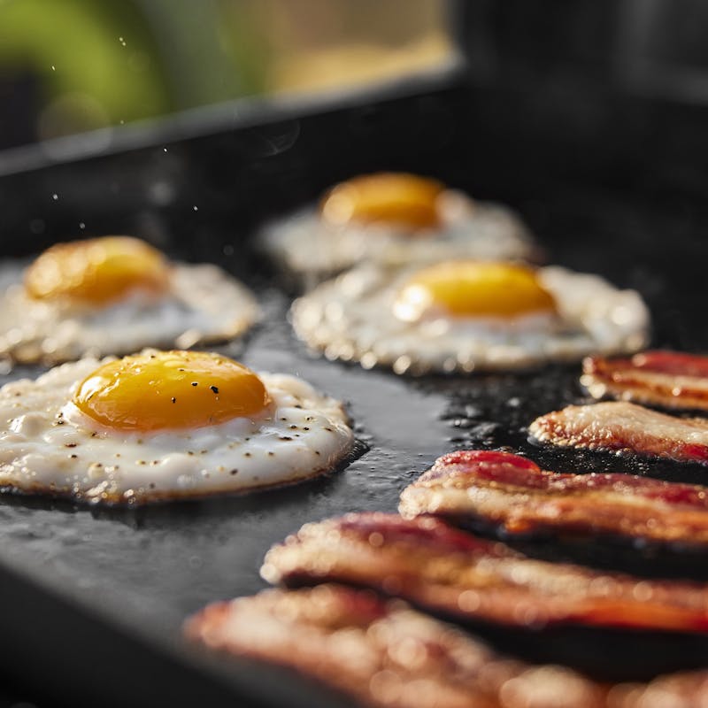 Weber Traveler 22" Portable Griddle 1500213
