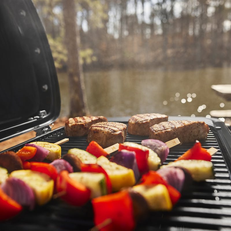 Weber Weber Traveler Compact Portable Gas Grill 1500460 1500460 Portable Gas Grill
